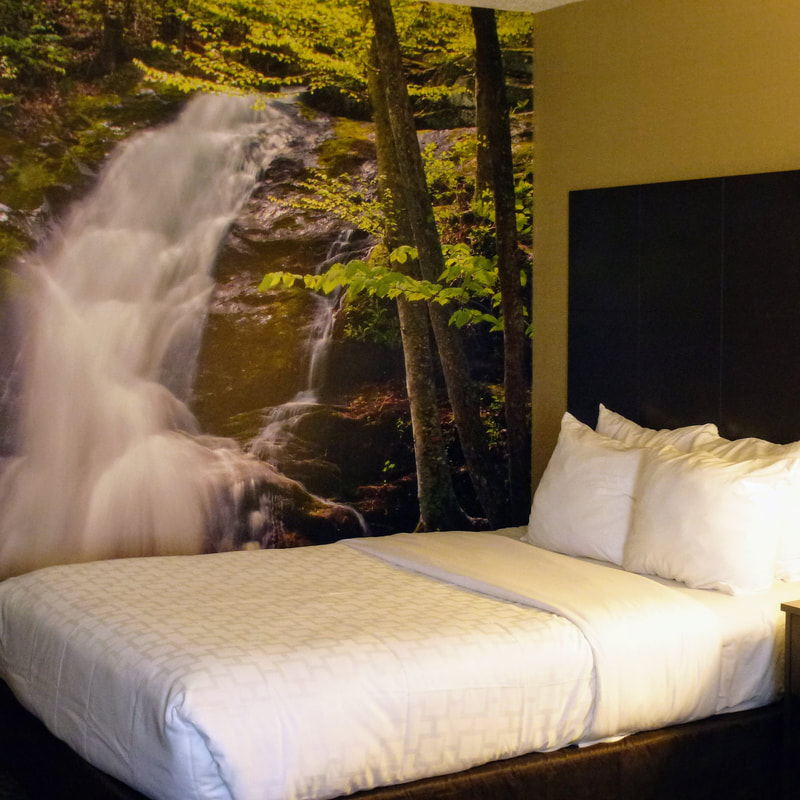 a picture of a guest room at the newly renovated Clarion Pointe Harrisonburg featuring a wall mural of a waterfall