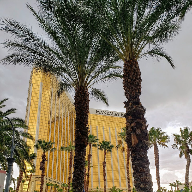Picture of the Mandalay Bay Hotel with palm trees in the foreground