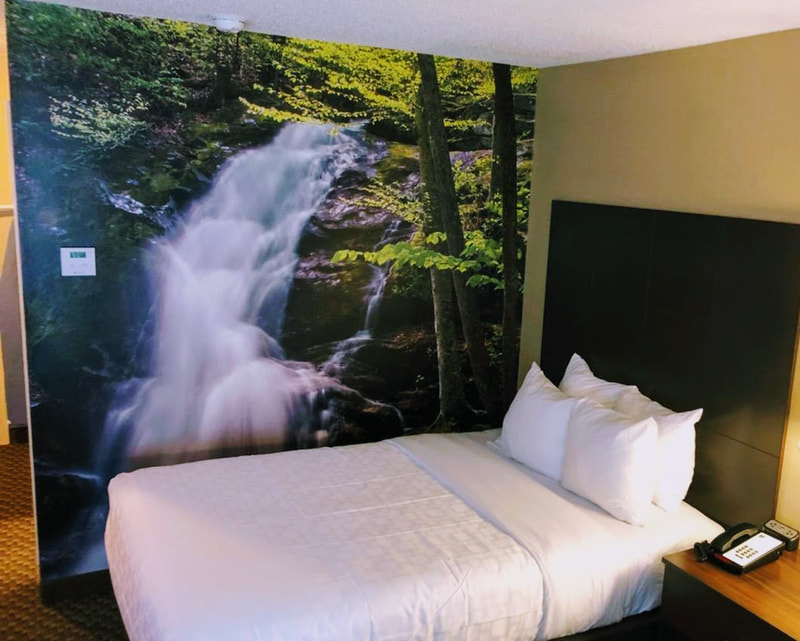 picture of a renovated guest room at the clarion pointe harrisonburg with a waterfall wall mural. 